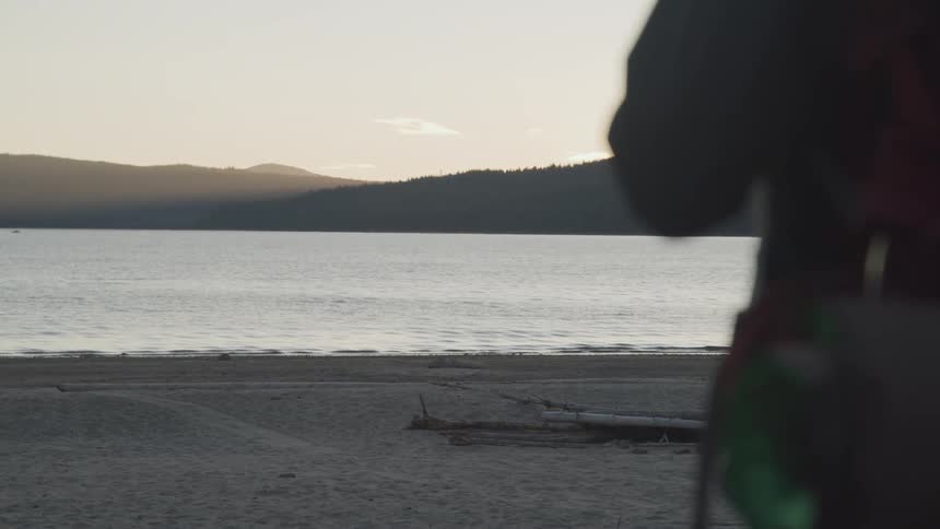 A person stands on the beach and looks out at the water