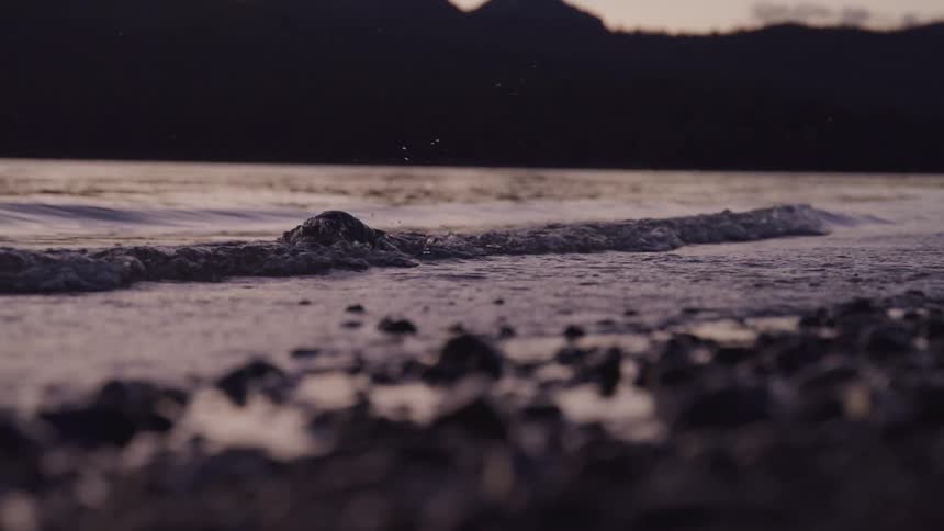 Small lake waves break against the shore at dusk