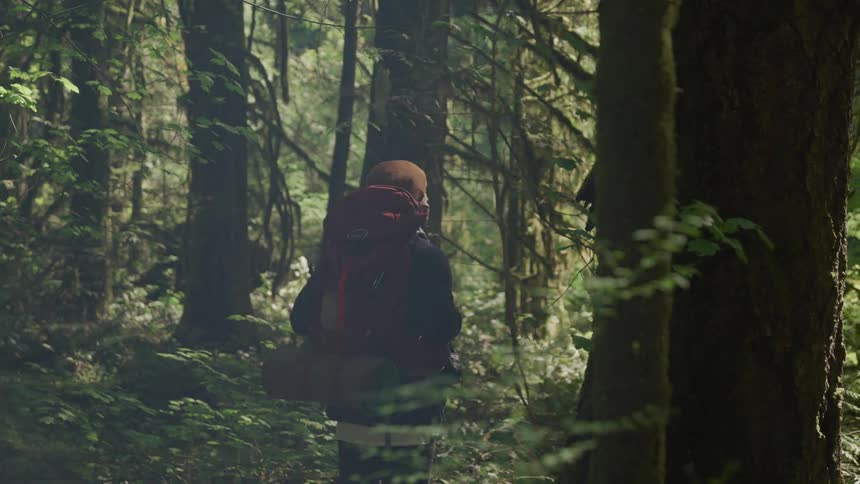 A man stands in the middle of the forest