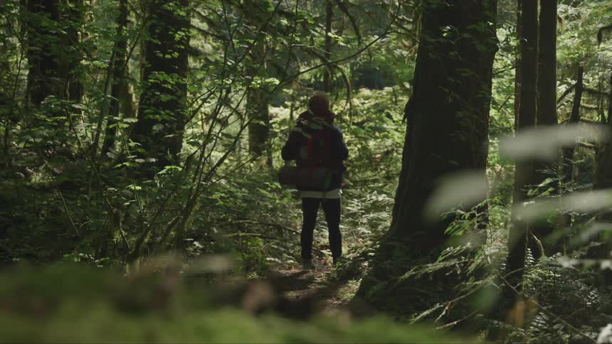 Woman standing on the forest path looks around in the woods