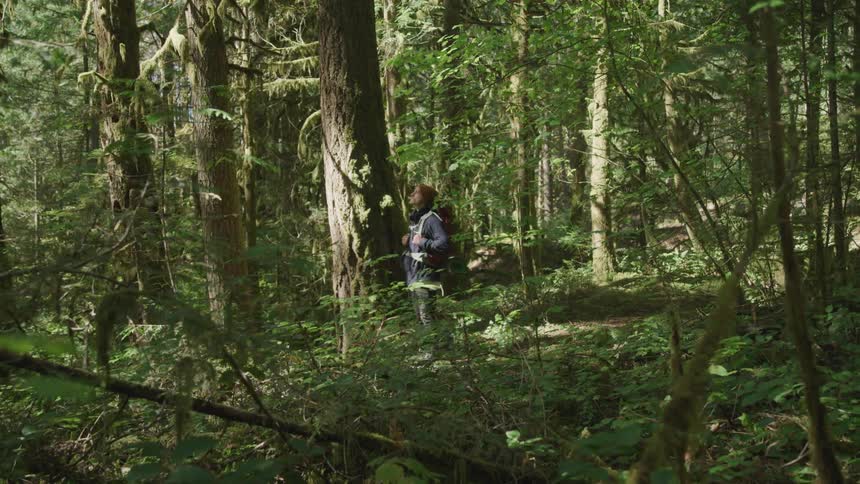 Man stands and looks up at the tall trees in the dense forest
