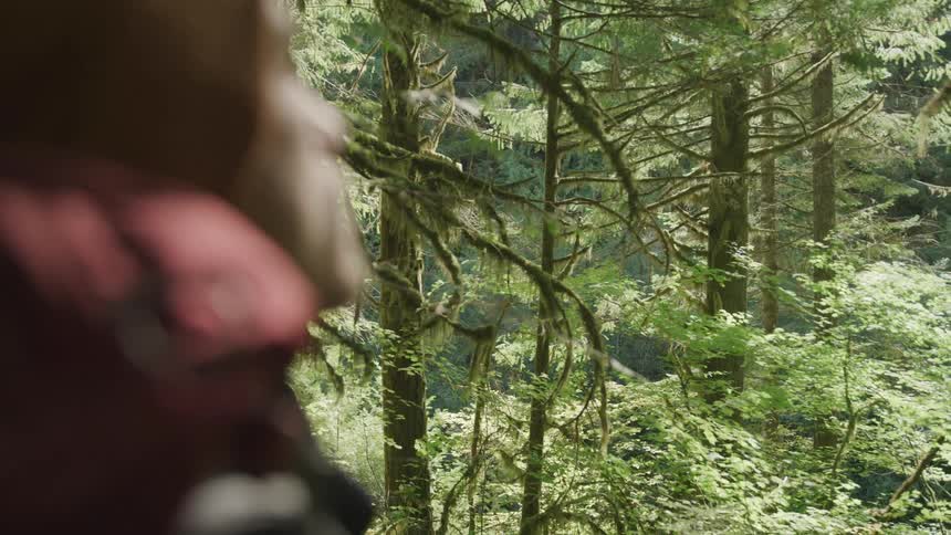 A man hiking in the forest stands still while taking the beauty of nature