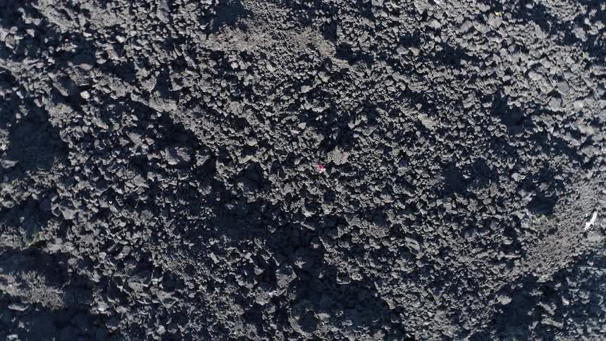 Lone person walks across the soil