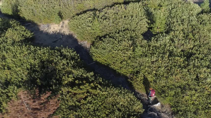 Aerial of backpacker hiking through the mountains on a dirt trail