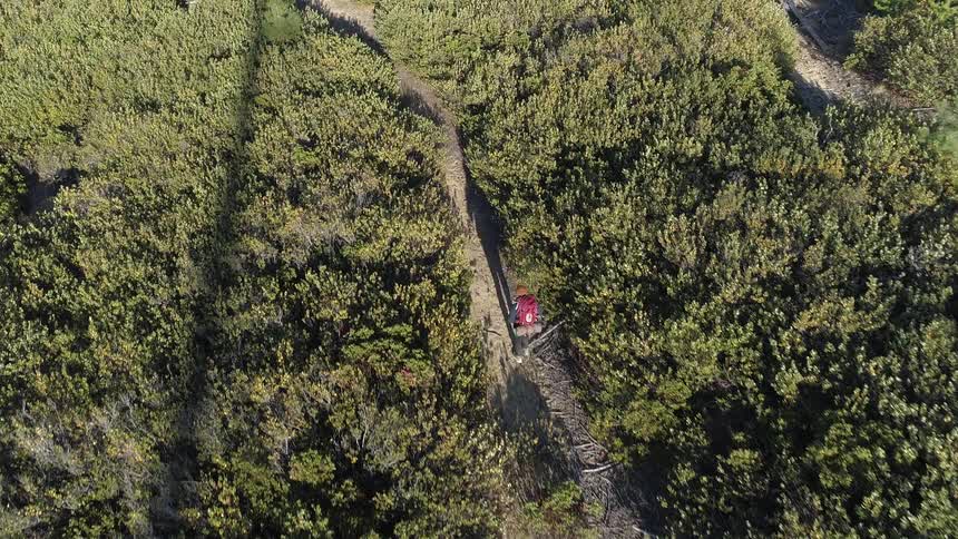 Aerial view of a man walking along the dirt path in the field