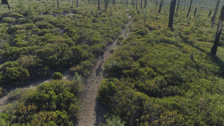 Man walks along the dirt road on the shrubland