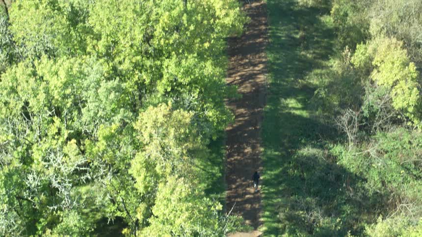 Aerial view of a man jogging along a dirt road in the forest