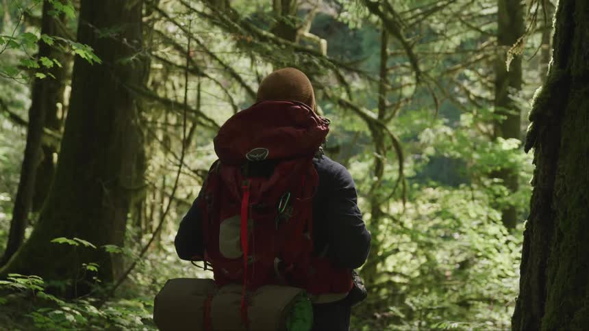A teenager hiking in the forest