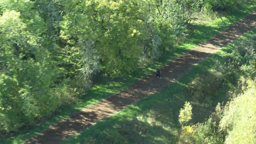 Aerial view of a man running along the forest track in the woods