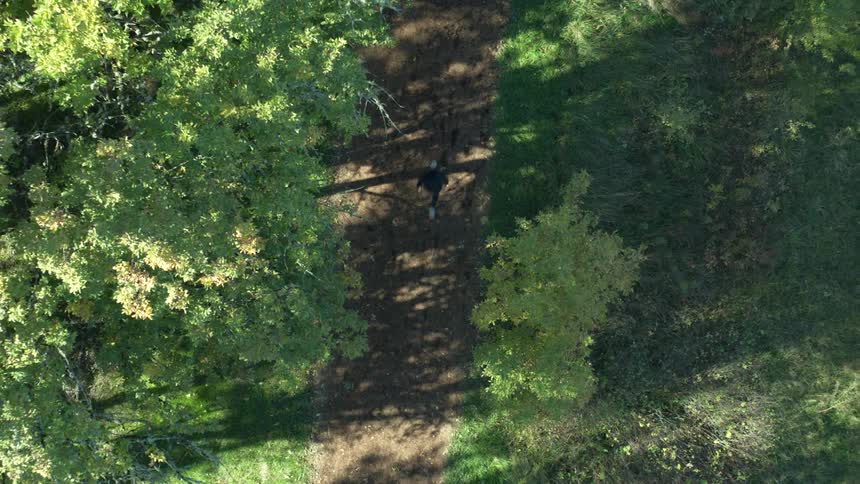 Birds eye view of a man running through a forest