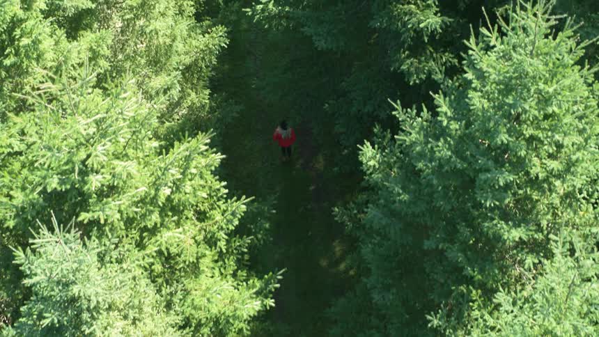 A person walking through a forest
