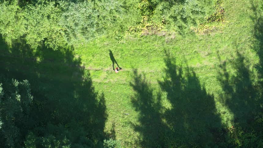 A person walking along tire tracks in a field on a sunny day