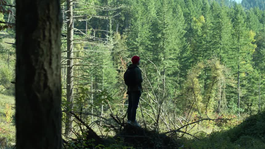 The man stands staring into the forest