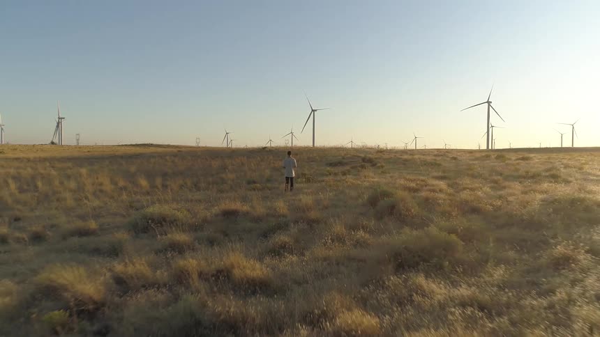 A man stands in the grass and brush looking at still wind turbines