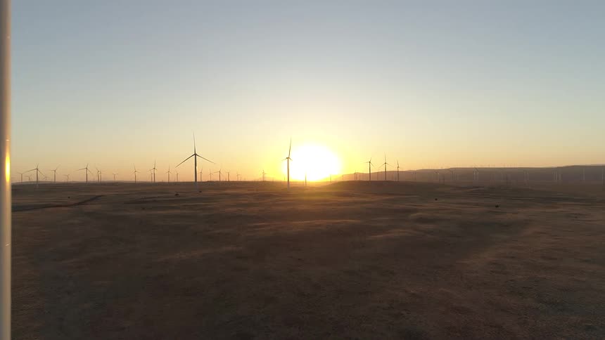 Sun rises on horizon over field occupied by wind farm
