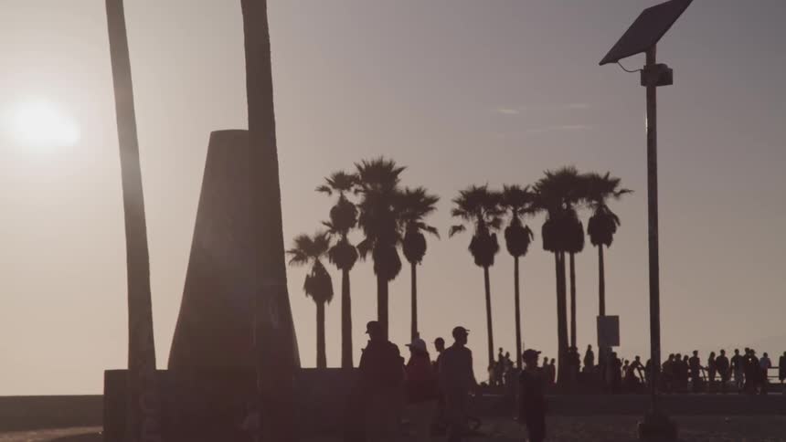 People walking near the beach with palm trees in the background