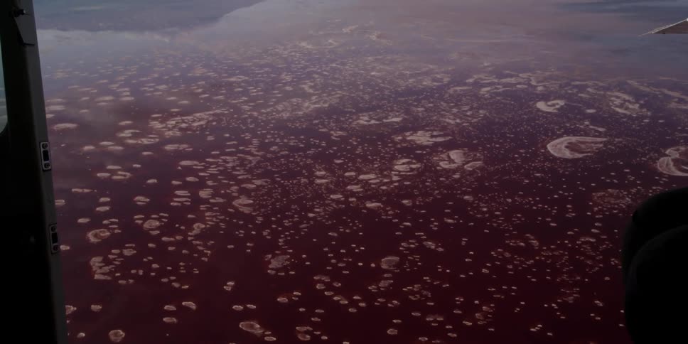 Photographers In Airplane Over African Wetlands