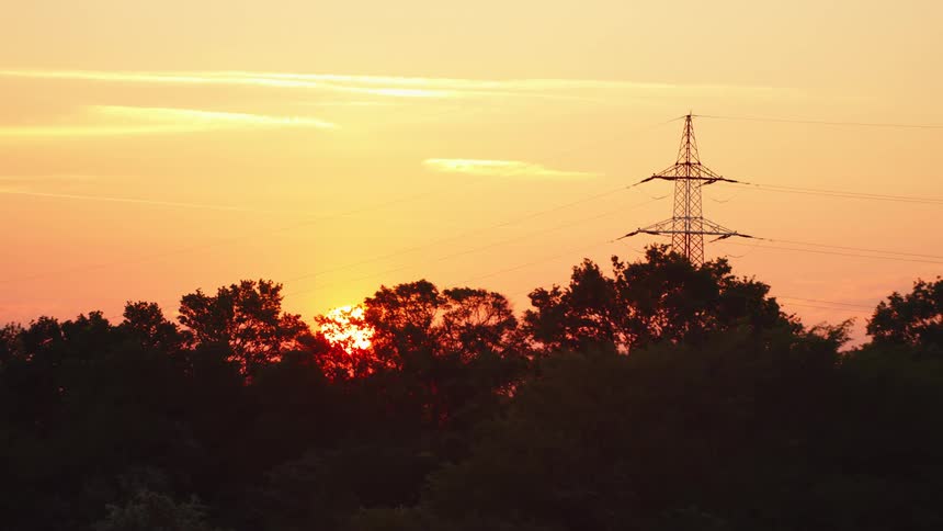 The power lines rise high above the forest