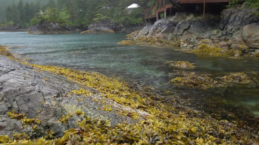 Rain falls on a flowing river below a wooden deck built on stilts
