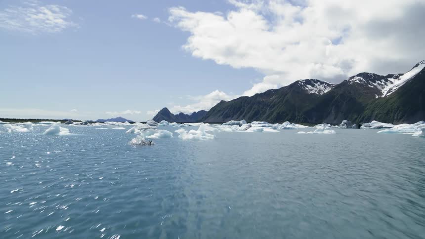 Aerial of many small icebergs in the arctic ocean