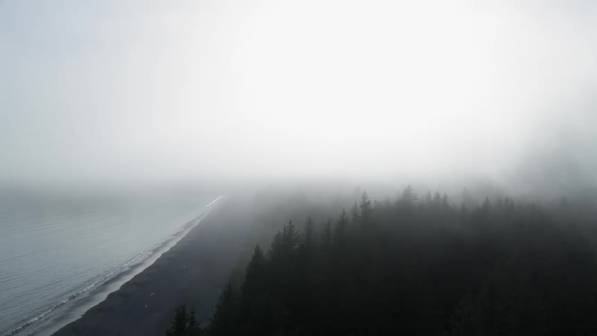 Fog and haze hang over the tree tops overlooking the ocean shore and beach