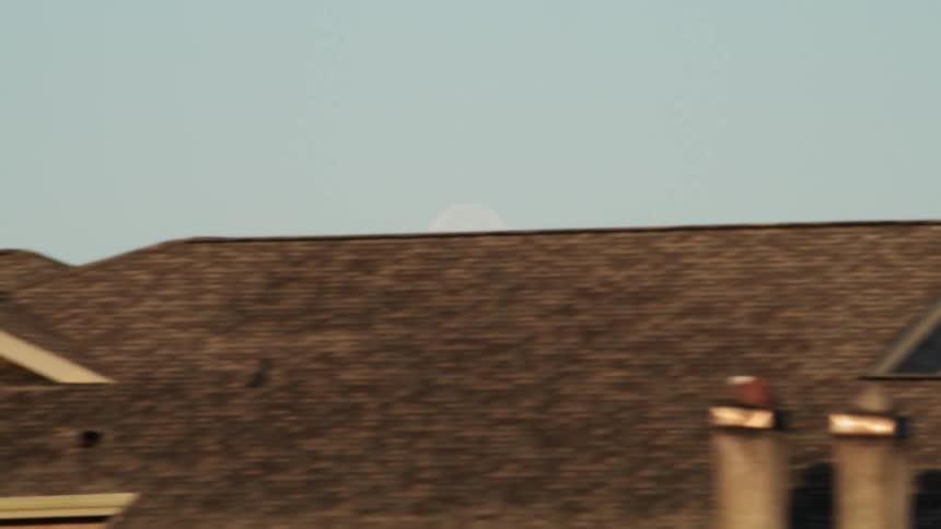Birds flying over the top of houses