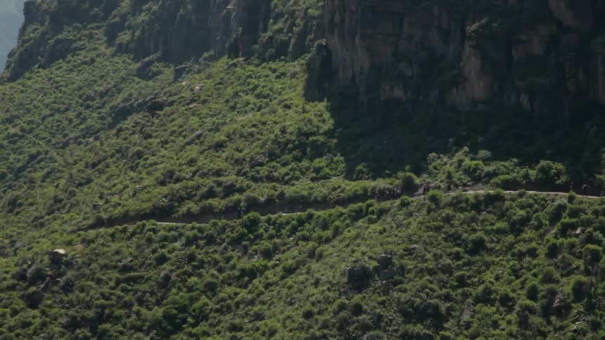 A line of people walking down a wooded mountain