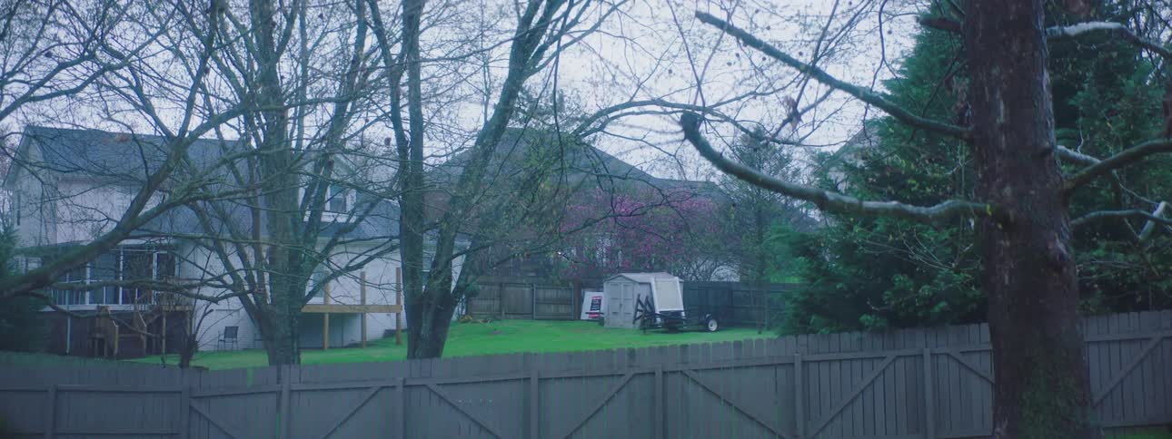 Houses in a neighborhood
