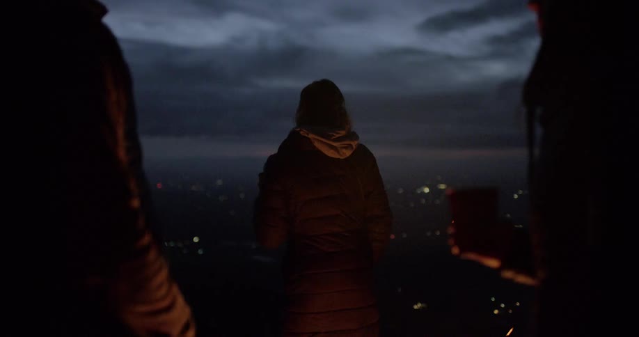 Three people stand and look out at the city lights in the distance