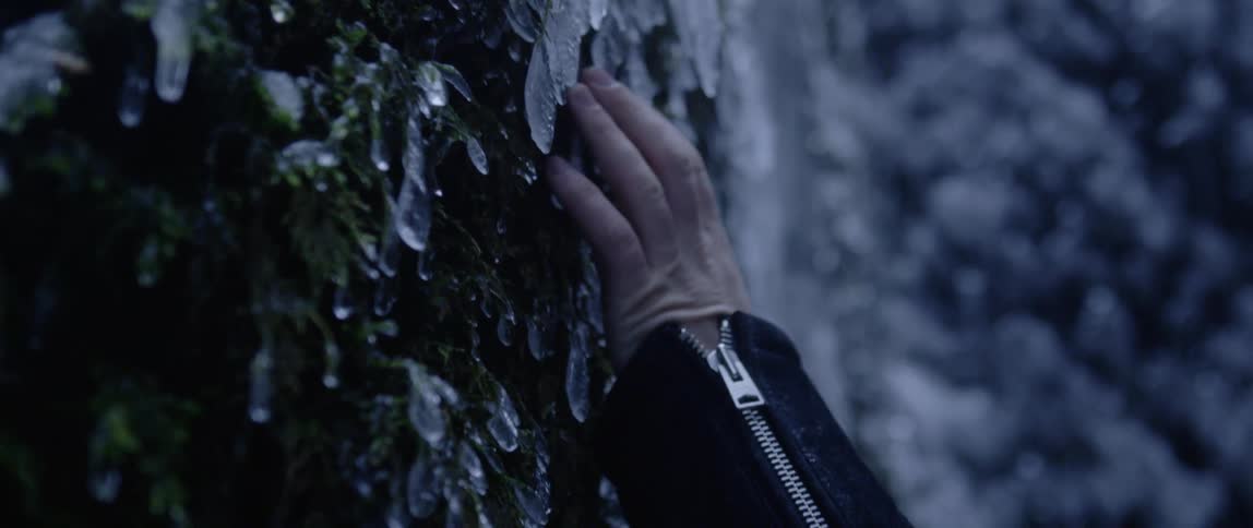 Man touches frozen tree leaves