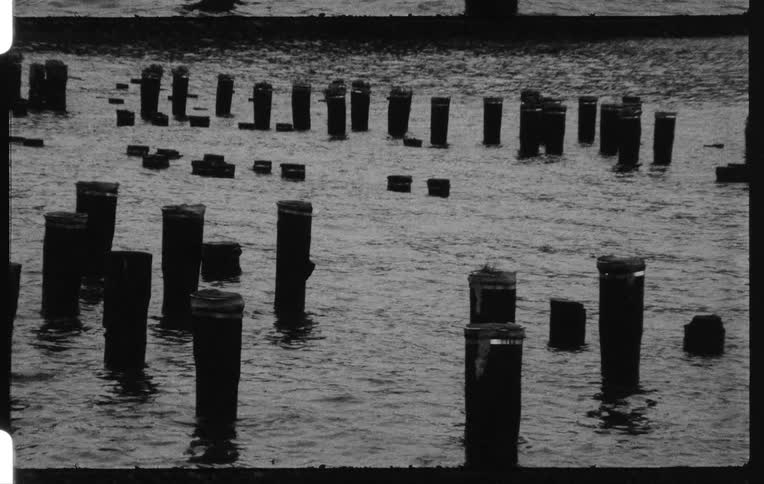 Vintage black and white film of wood poles sticking out of the water