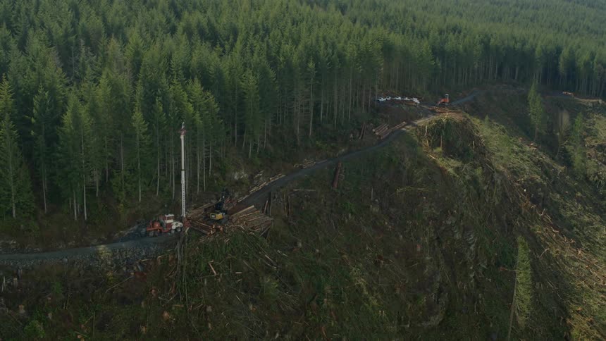 Logging equipment and logs on a road by the forest