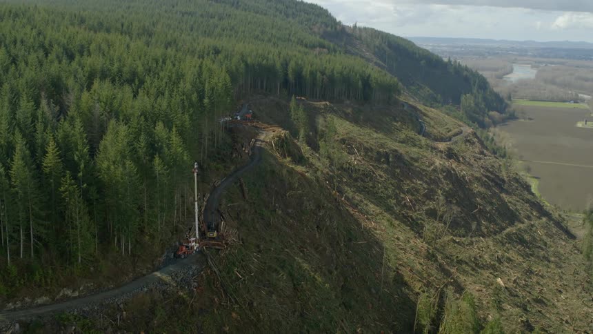Logging operation loads logs onto a trailer on mountain road near forest