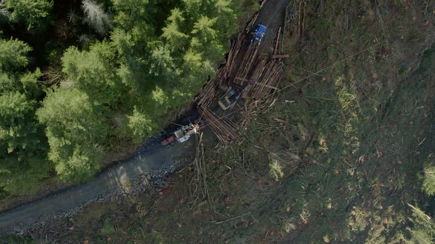 Birds eye view of logging trucks moving logs