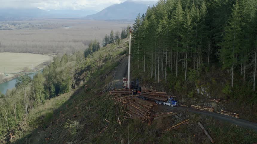 An aerial view of a forest area is displayed