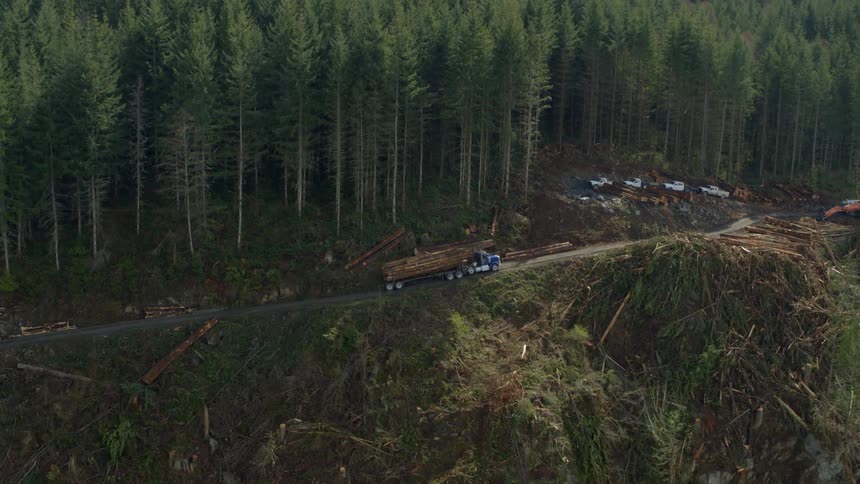 A truck carrying lumber down a narrow road on a cliff
