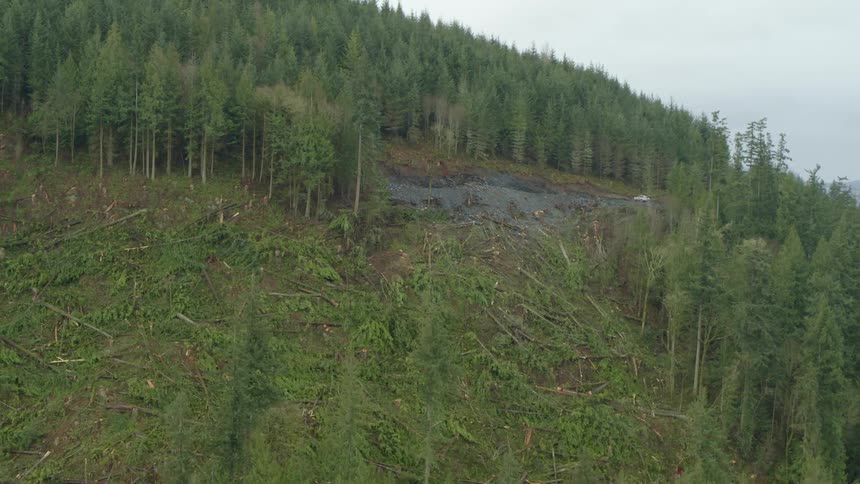 A pickup truck parked on a ridge overlooking cleared trees on a slope