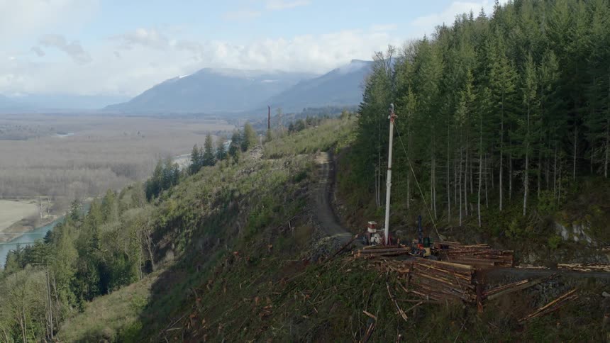 A crane lifts up a chopped down tree on a logging road above a cleared slope