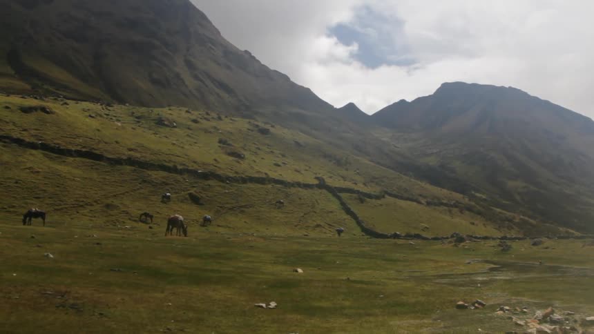 Wild animals graze in the mountains on a cloudy day
