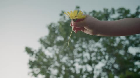 A little girl holding a yellow flower with a tree and the sky above