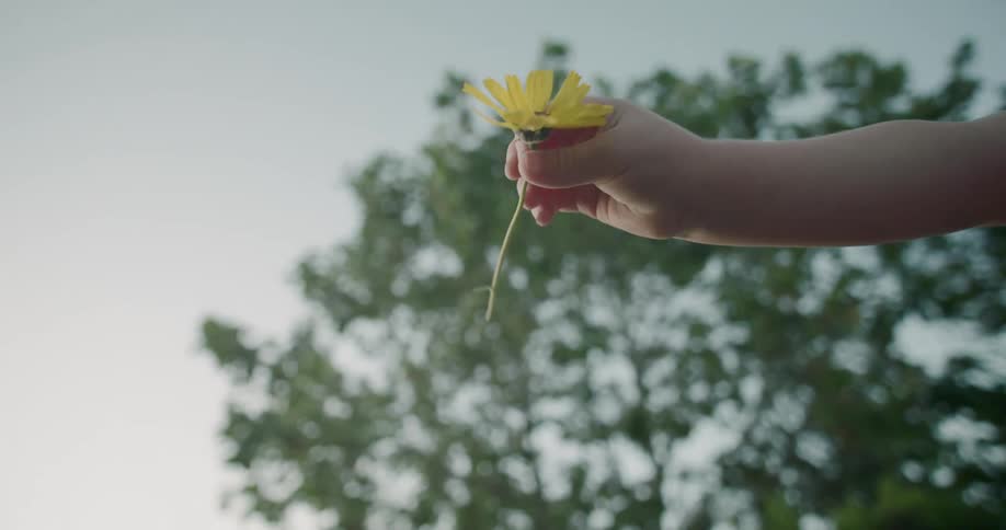 A little girl holding a yellow flower with a tree and the sky above