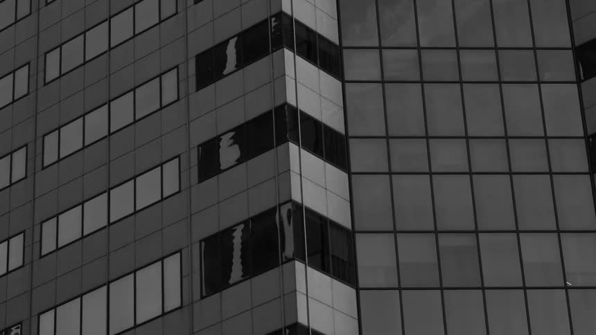 Windows cover a tall city building