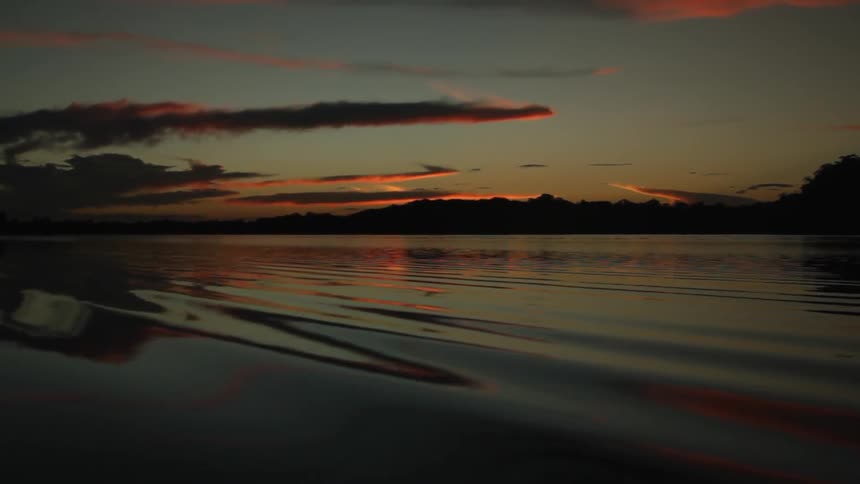 Traveling low across water as the sun sets