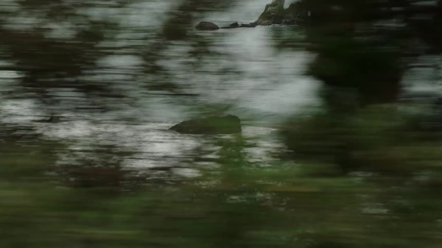 Trees obscure waves passing by rocks and hitting the beach