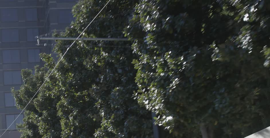 Trees, telephone poles and wires line a street