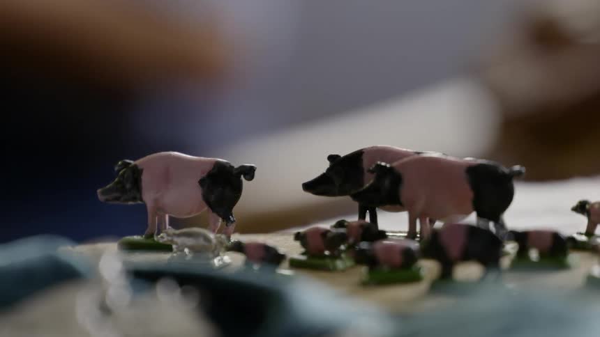 Several plastic pig and piglet figurines are sitting on a table