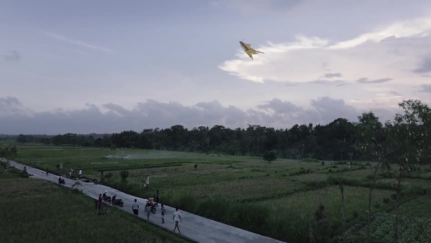 People drive and walk along a road near a jungle as a kite flies overhead