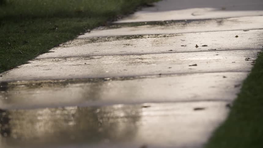 Rain falls on a sidewalk