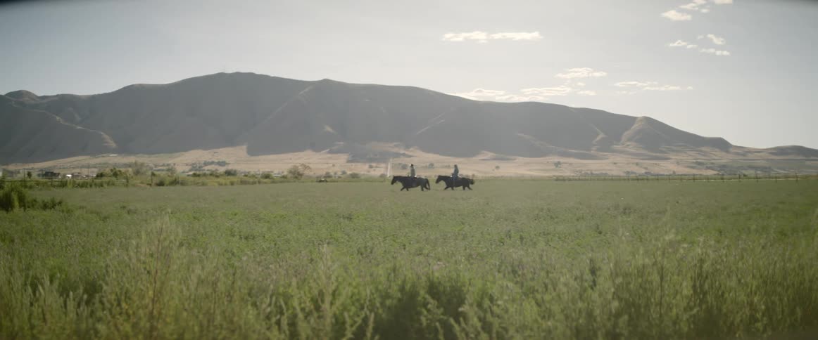 Two people ride horses across a grassy field
