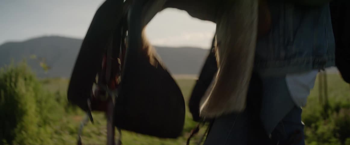 Woman removes the saddle from the horse in the green field